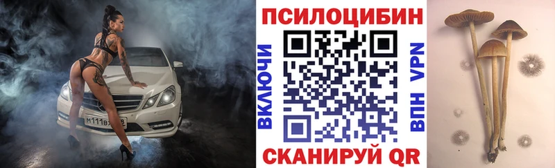 KRAKEN ссылка  Анива  Галлюциногенные грибы прущие грибы 